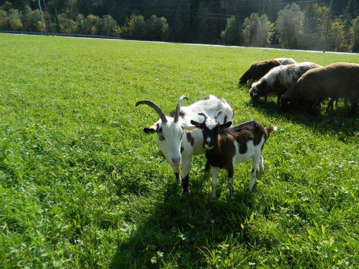 Apartment Reiters-ferienhaus Russbach am Pass Gschuett