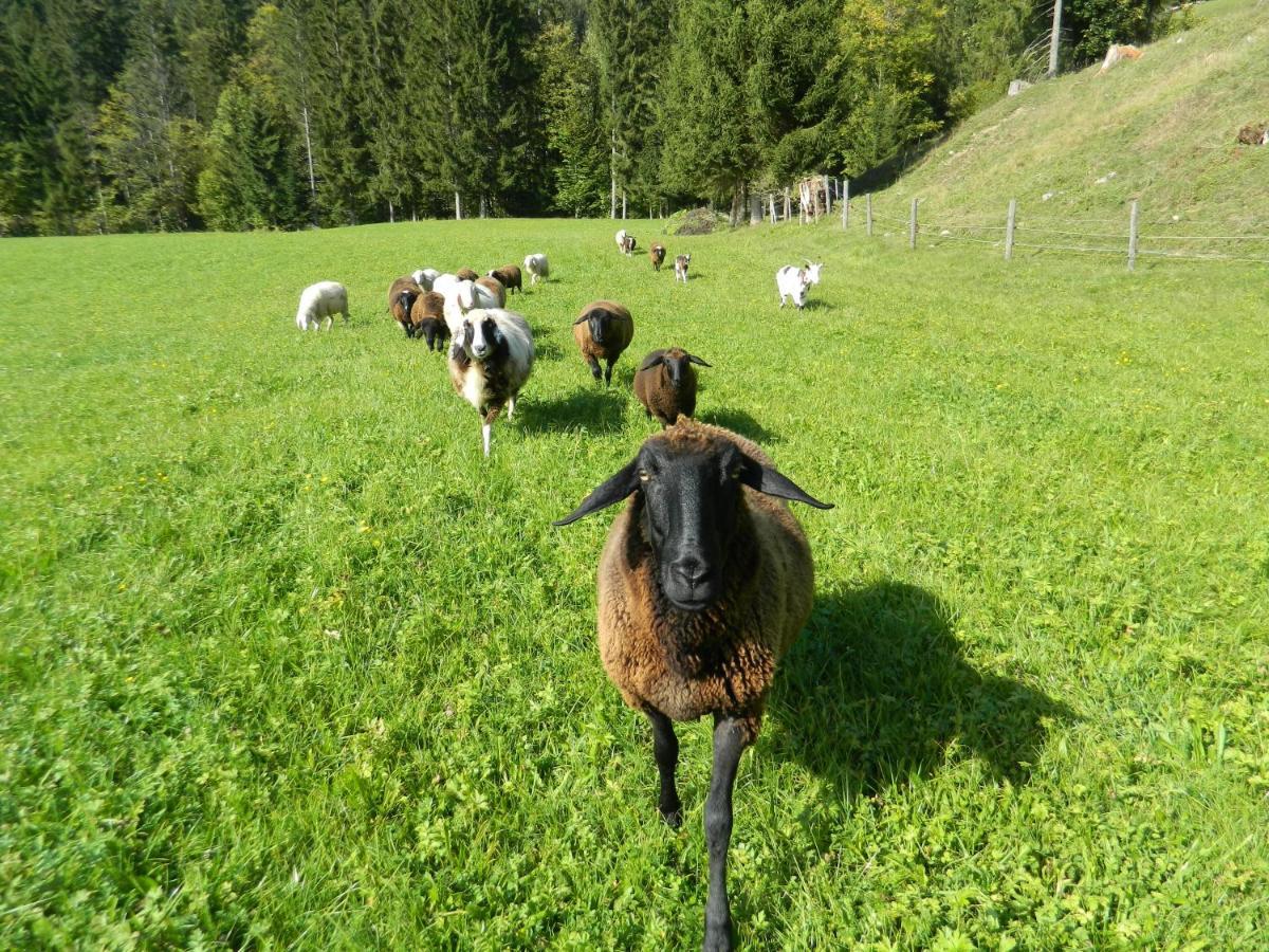 Reiters-ferienhaus Russbach am Pass Gschuett